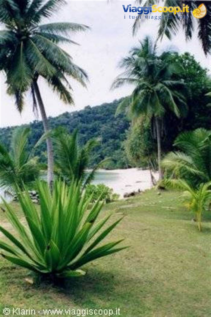 Sibu