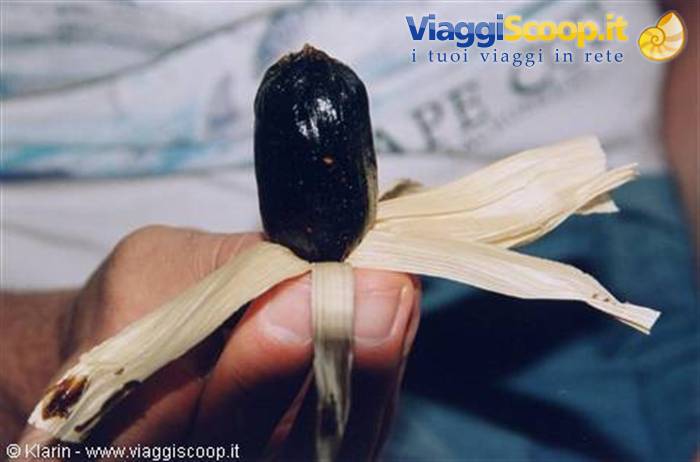 Dodol