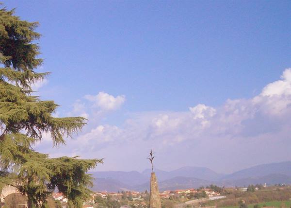 Cedar tree beside a statue-topped column above rooftops and cloudy hills