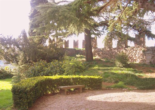 Stone bench among hedges under a conifer, stone crenellated wall