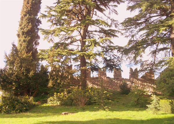 Stone crenellated walls among cedars and cypresses in a green park