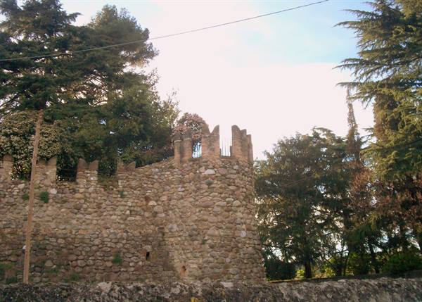 Medieval stone walls with battlements surrounded by tall pines and cypresses