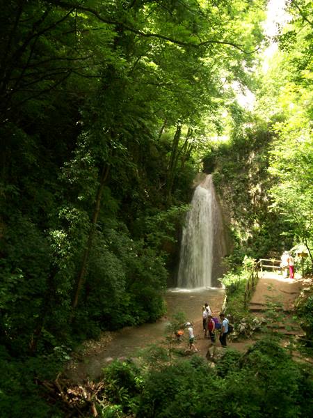 Tourists below a waterfall in lush green forest, stone path nearby
