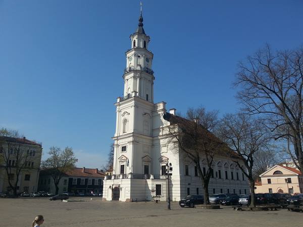 The white swan (Kaunas Town Hall)