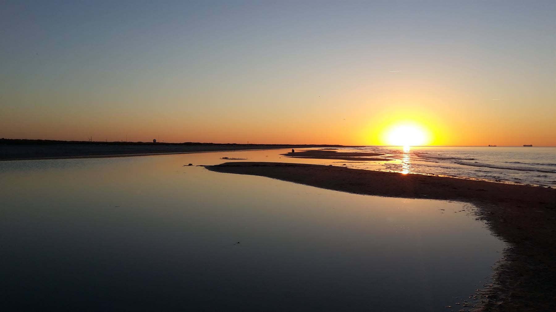 Grenen