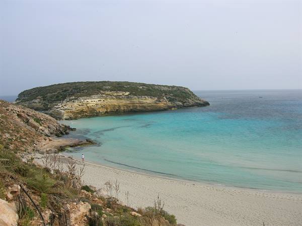 rabbit island 2