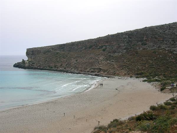 rabbit island 3
