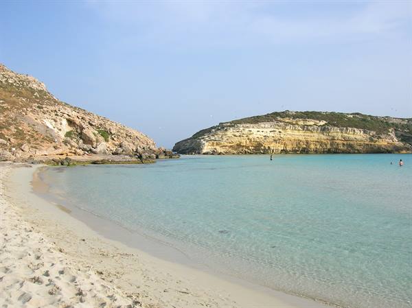 rabbit island 1