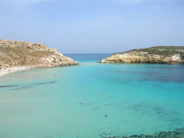 rabbit island 4