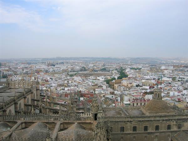 from the Giralda a view of Seville