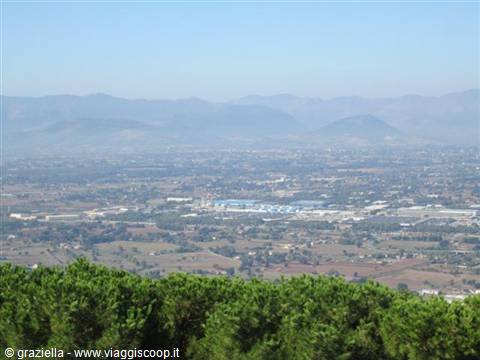 Pine trees in foreground over hazy plain with warehouses and mountains