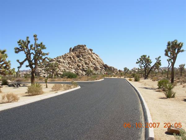 Paved road between Joshua trees and granite rocks, clear blue sky