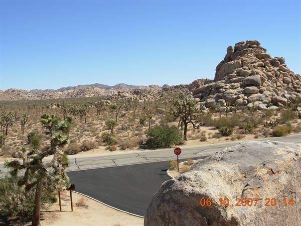 Joshua Tree: paved road among yucca trees and huge granite boulders under blue sky