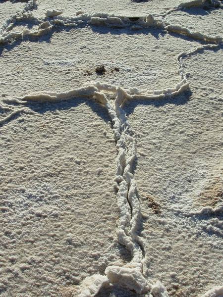 Cracked crystallized salt crusts on a dry lakebed under bright sunlight