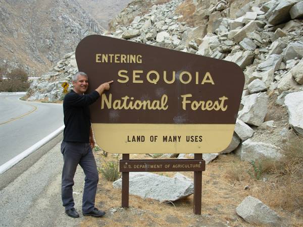 Man points at wooden entrance sign of Sequoia National Forest beside mountain road