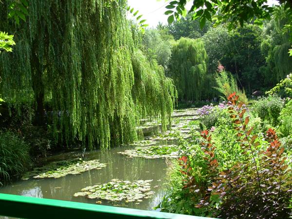Monet's garden at Giverny: water lilies, weeping willows and flowers along the pond