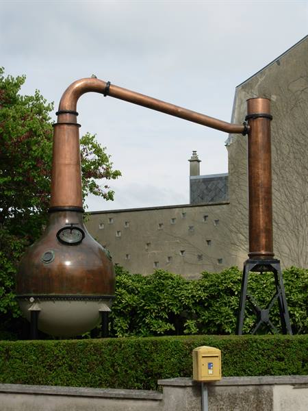 Outdoor copper still, curved pipe to column, green hedge and gray sky