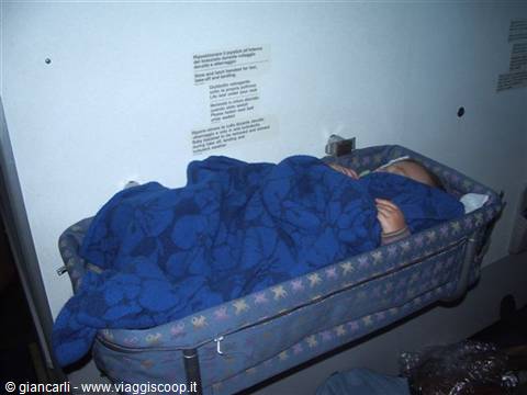 nap on the plane