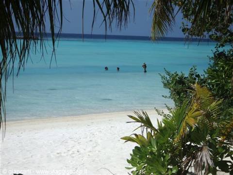 swim in front of our room