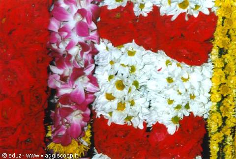 Kuala Lumpur - Flowers, Fruits and Colors