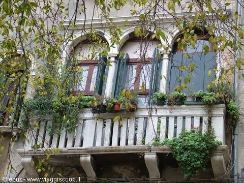 Venetian Windows