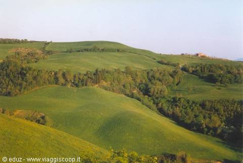 Buonconvento - View