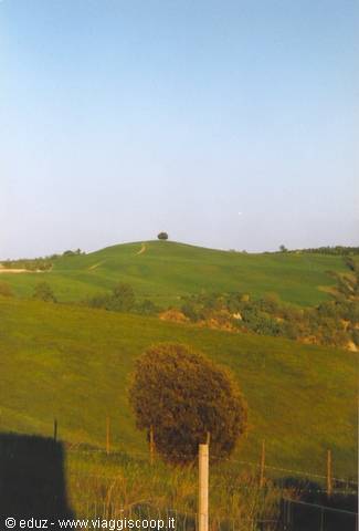 Buonconvento - View