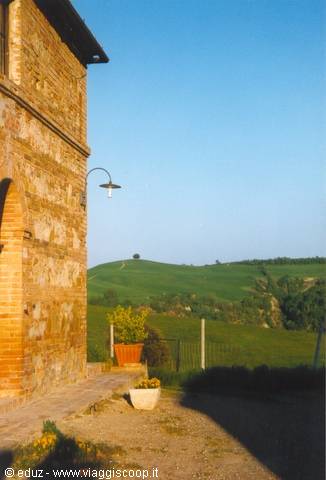 Buonconvento - View