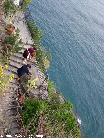 Vernazza - Women at work on the cliff overlooking the sea