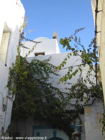 Hammamet
