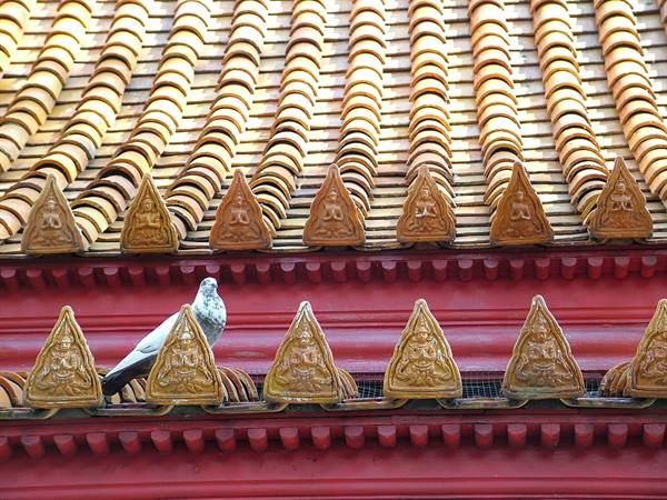 Pigeon perched on golden tiled roof with Buddhist ceramic decorations