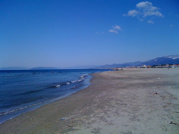 The beach