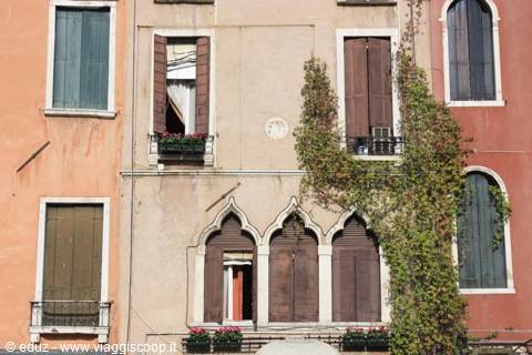 The windows