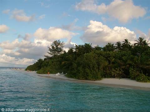 White sand beach with palm trees and umbrellas between turquoise waters