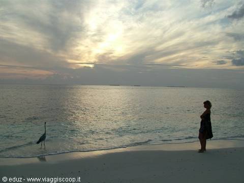 Woman on white sand beach watching a heron in the water under cloudy sky