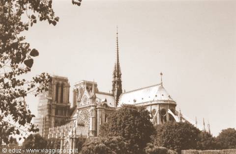 Our Lady of Paris