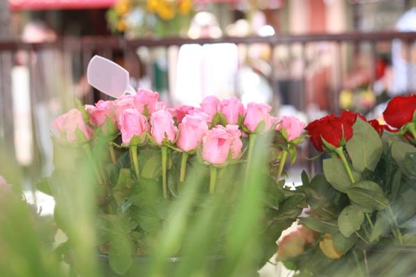 Flower Market