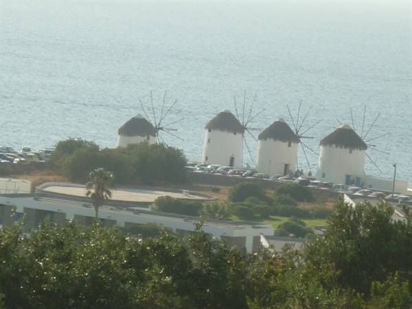 The windmills