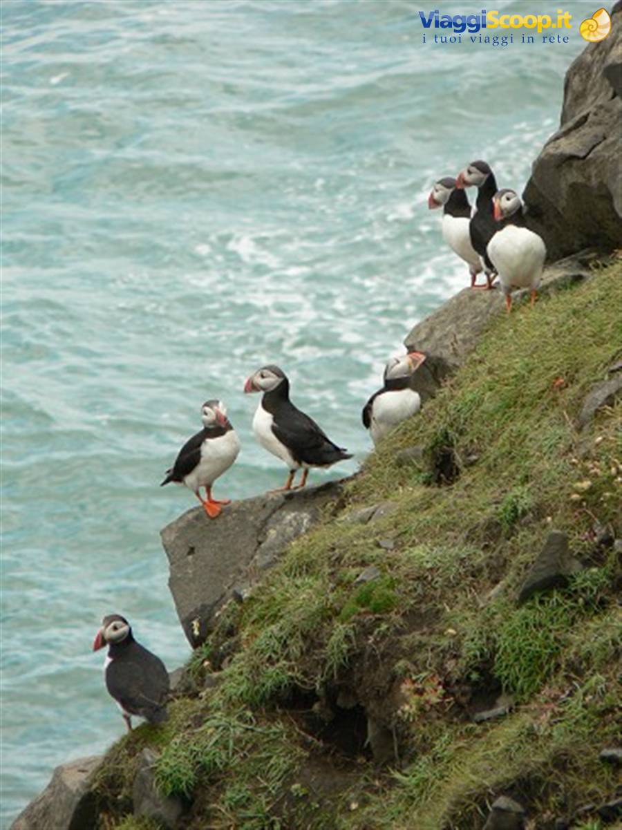 Dyrhólaey