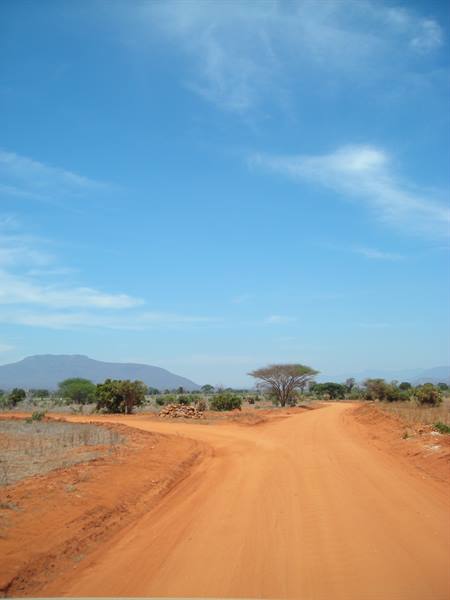 Red dirt road forks among bushes and acacia trees, mountain on horizon