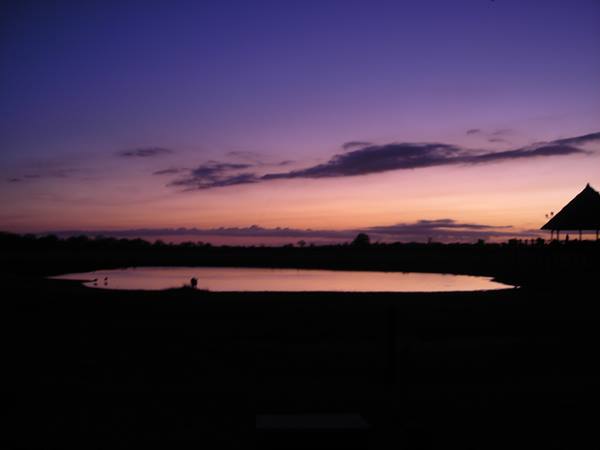 Waterhole reflecting the purple sky, thatched-roof hut on the right