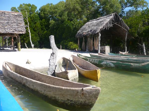 Wooden dugout canoes beached on sand beside thatched huts, midday light