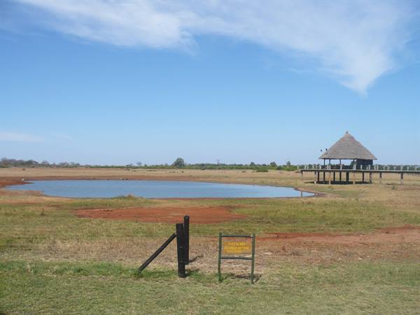 Waterhole with thatched observation hut on a wooden walkway