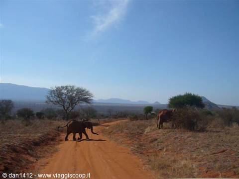 Elephants crossing a red dirt road among dry bushes and distant mountains