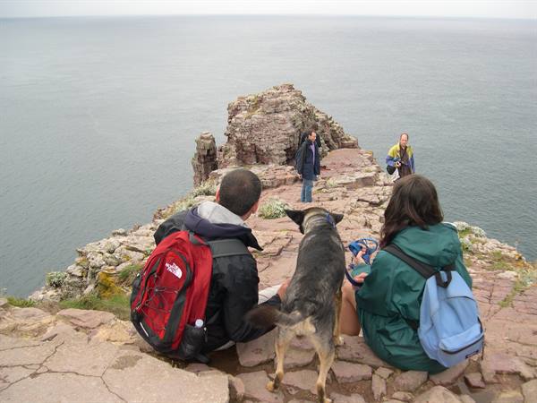 ON THE TOP OF THE CLIFF OF CAP FREHEL (BRITTANY)