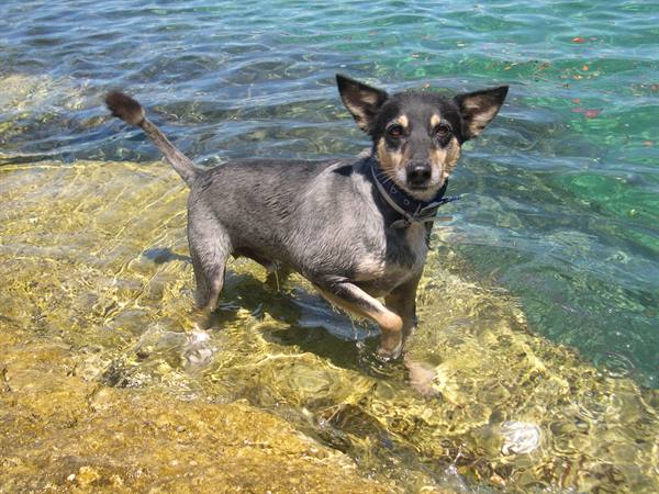 LUCKY IN THE CLEAR CROATIAN WATERS