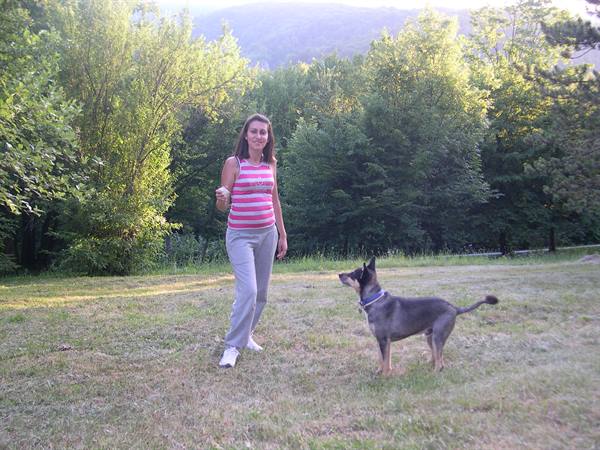 Woman in striped top plays with grey dog on grassy meadow among trees
