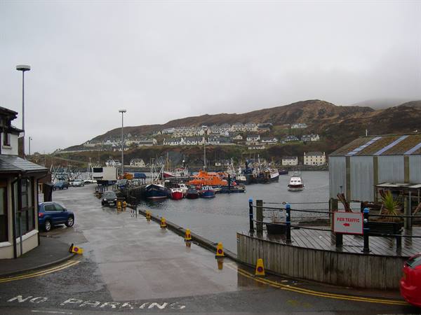 BOATS AT MALLAIG HARBOUR