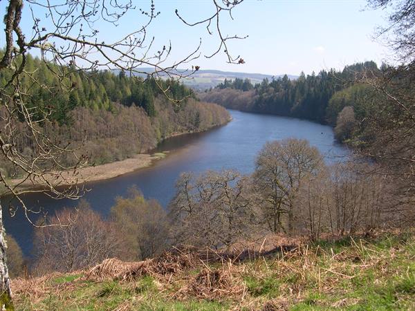THE RIVER NEAR PITLOCHRY