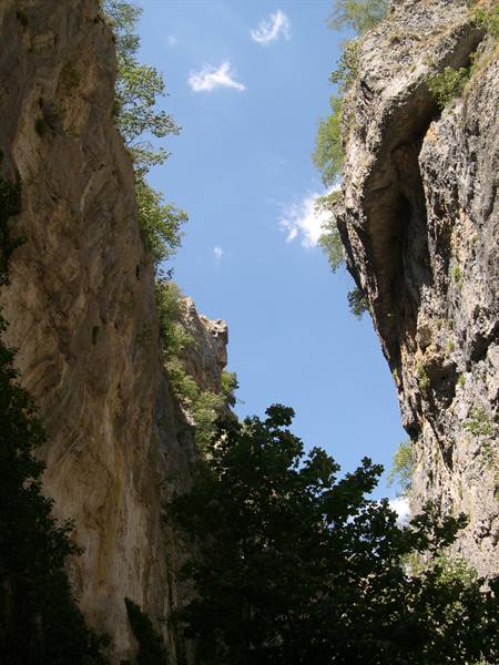 Limestone rock walls with green trees under blue sky with clouds